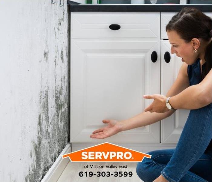 A person discovers mold growing on a wall in their home.