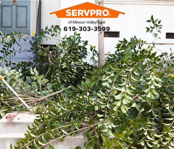 Vegetation around a home is cleared to prepare for wildfire season.