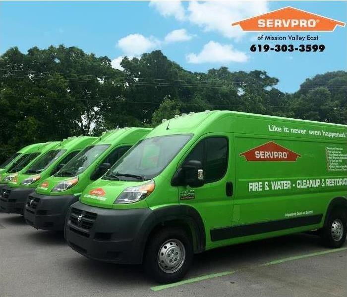 Line up off SERVPRO vans 