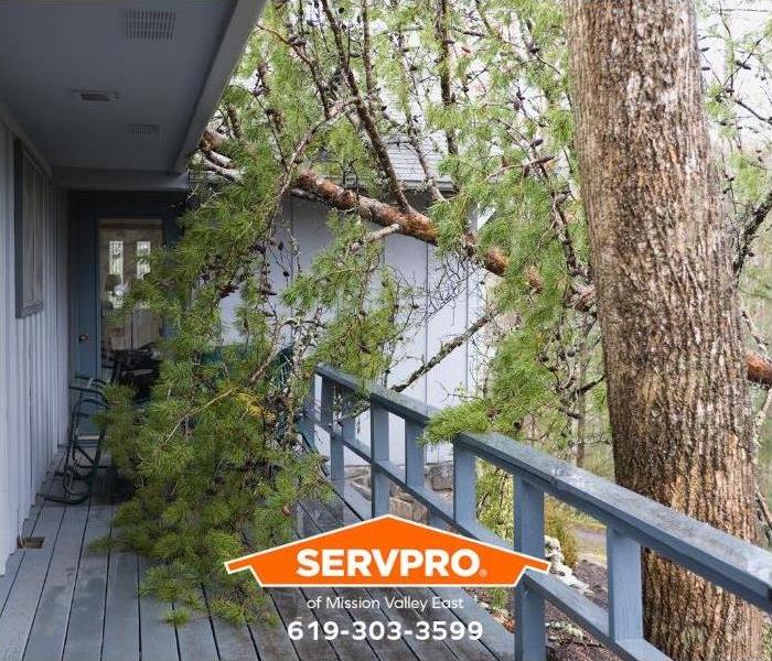 A tree has fallen on a house.