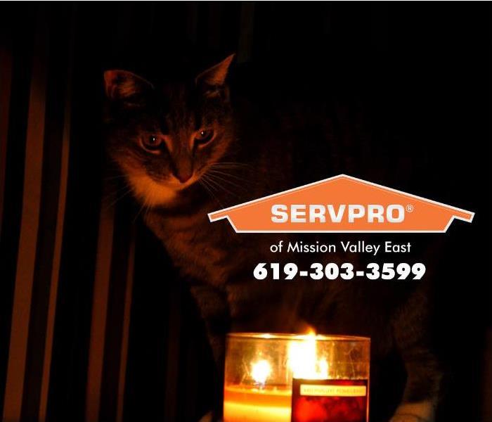A cat is sitting by a lit candle. 