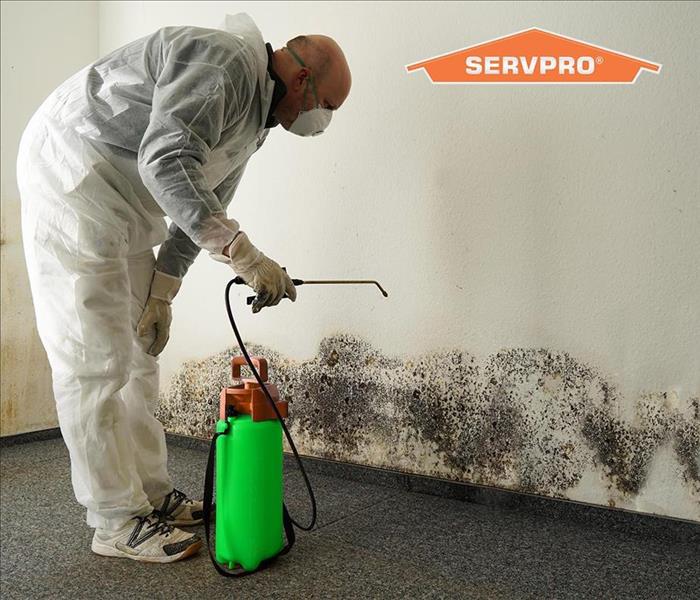 man in PPE cleaning up mold 