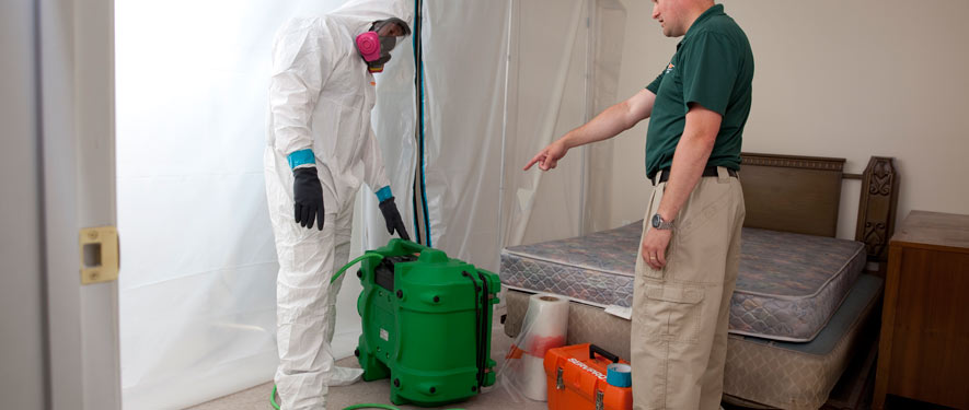 Mission Valley, CA mold removal process